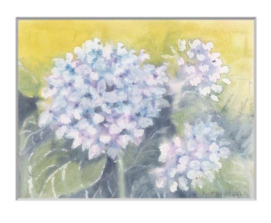 Nr.142 Hortensie - Aquarell 2017