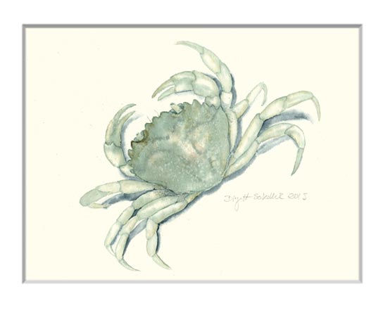 Nr.64 Krebs - Aquarell 2015