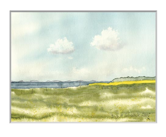Nr.66 Rapsfeld - Aquarell 2015