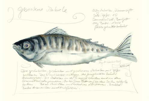 Nr.70 Gebratene Makrele - Aquarell 2013