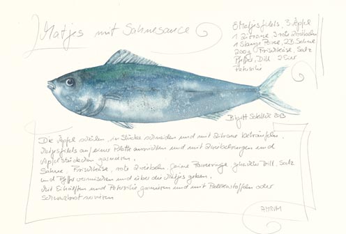 Nr.75 Matjes mit Sahnesauce - Aquarell 2013