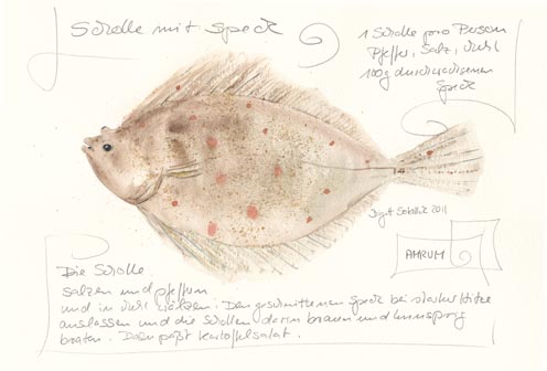 Nr.79 Scholle mit Speck - Aquarell 2011