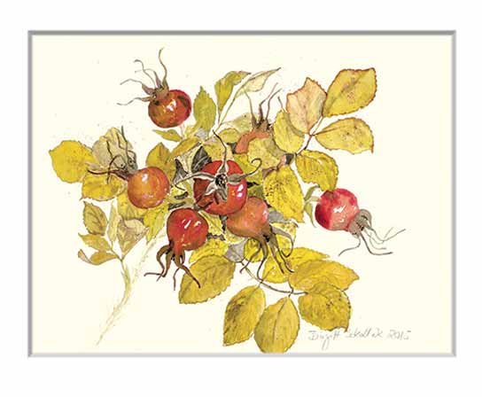Nr.90 Hagebutten - Aquarell 2015