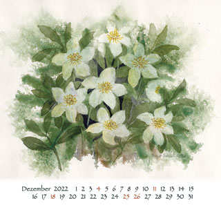 Kalender2022-12